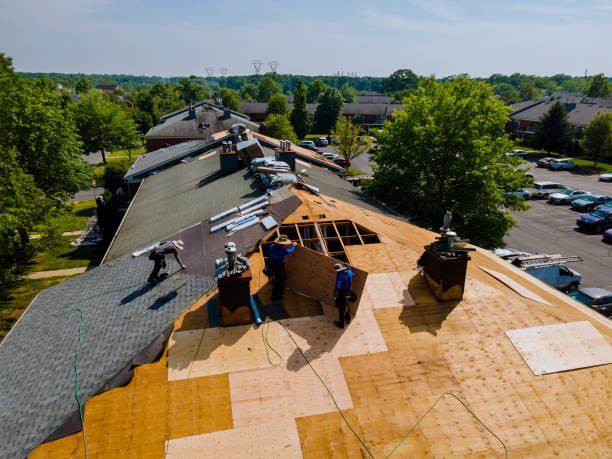 Best Roof Gutter Cleaning  in Parker City, IN